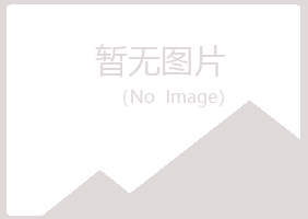 城子河区惜文造纸有限公司